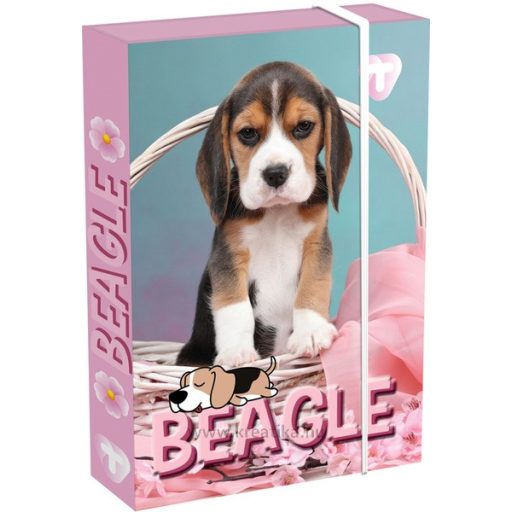 Füzetbox A/5 45 mm T-Creativ