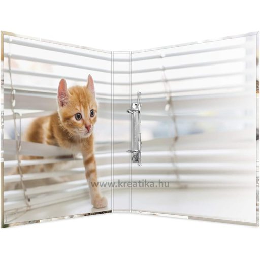 Gyűrűskönyv A/4 35 mm, 2 gyűrűs, karton Herma "Animals" Cats