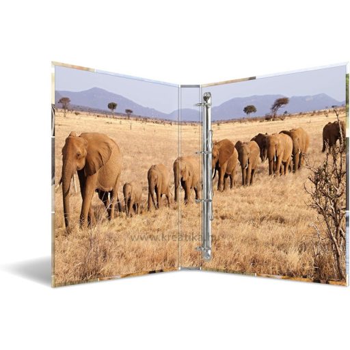 Gyűrűskönyv A/4 35 mm, 4 gyűrűs, karton Herma "Animals" Africa