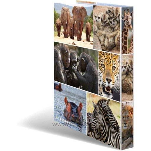 Gyűrűskönyv A/4 35 mm, 4 gyűrűs, karton Herma "Animals" Africa