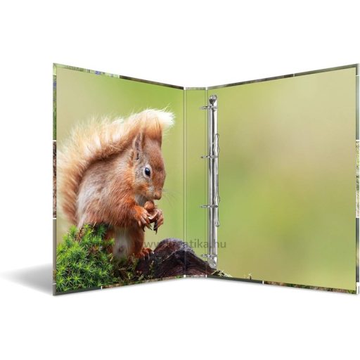 Gyűrűskönyv A/4 35 mm, 4 gyűrűs, karton Herma "Animals" Forest