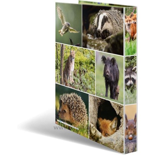 Gyűrűskönyv A/4 35 mm, 4 gyűrűs, karton Herma "Animals" Forest