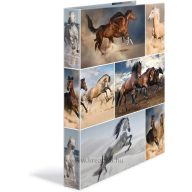   Gyűrűskönyv A/4 35 mm, 4 gyűrűs, karton Herma "Animals" Horses
