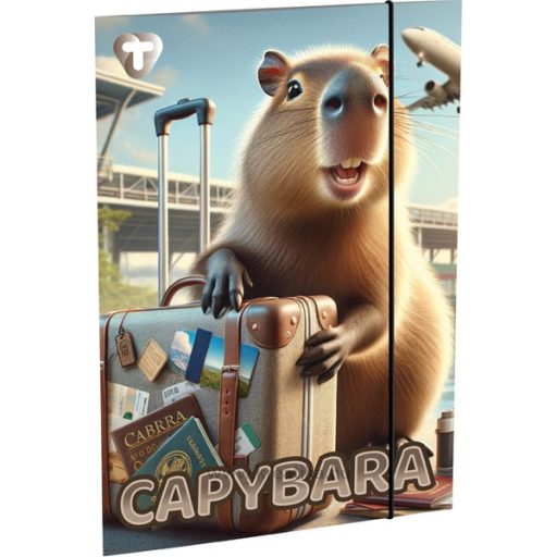 Gumis mappa A/4 T-Creativ vegyes minta