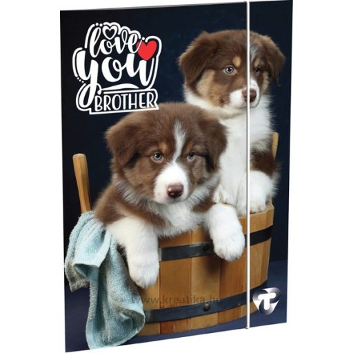 Gumis mappa A/4 T-Creativ vegyes minta