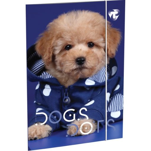 Gumis mappa A/5 T-Creativ vegyes minta