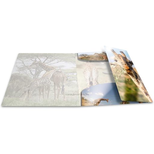 Gumis mappa A/4 PP Herma "Glossy" Zsiráf