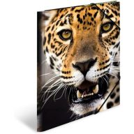 Gumis mappa A/4 PP Herma "Favourite Pets" Leopárd