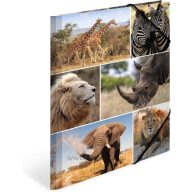   Gumis mappa A/4 karton Herma "Animals" Afrikai állatok