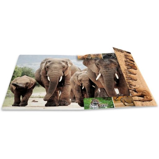 Gumis mappa A/4 karton Herma "Animals" Afrikai állatok