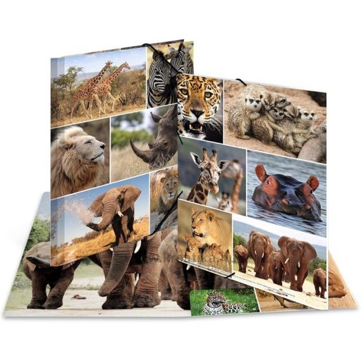 Gumis mappa A/4 karton Herma "Animals" Afrikai állatok