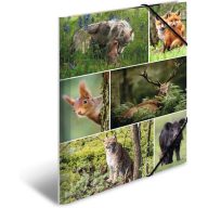   Gumis mappa A/4 karton Herma "Animal Worlds" Erdei állatok