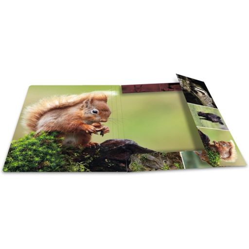 Gumis mappa A/4 karton Herma "Animal Worlds" Erdei állatok