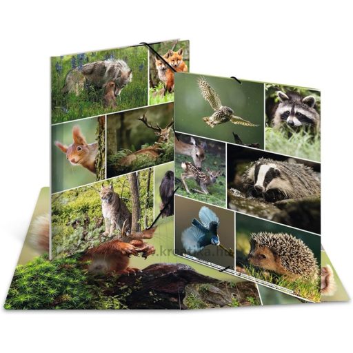 Gumis mappa A/4 karton Herma "Animal Worlds" Erdei állatok