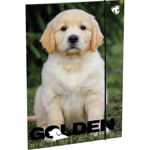 Rajzlaptartó A/3 karton, gumis T-Creativ vegyes minta