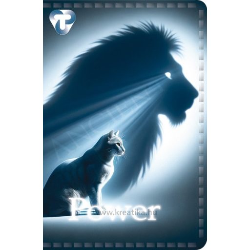 Igazolványtartó 10 tasakos T-Creativ vegyes minta