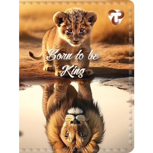 Igazolványtartó 10 tasakos T-Creativ vegyes minta