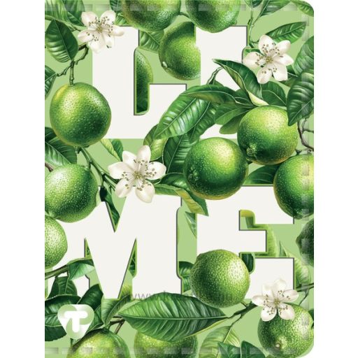 Igazolványtartó 16 tasakos T-Creativ vegyes minta