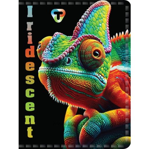 Igazolványtartó 16 tasakos T-Creativ vegyes minta