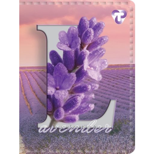 Igazolványtartó 16 tasakos T-Creativ vegyes minta