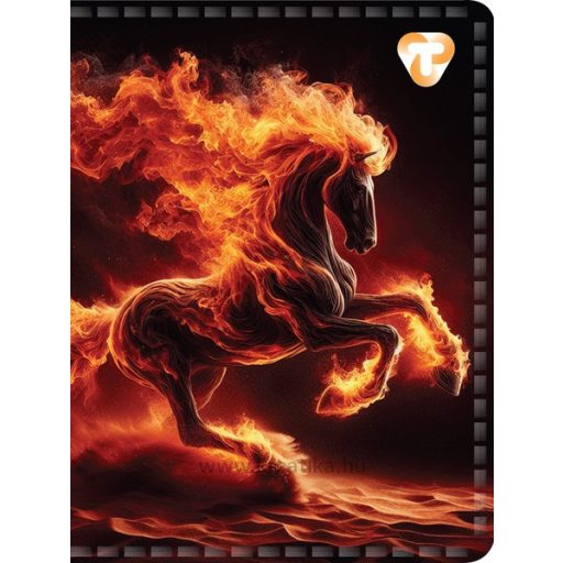 Igazolványtartó 16 tasakos T-Creativ vegyes minta