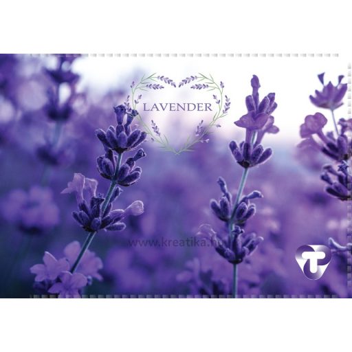 Diákigazolvány tok 4 tasakos T-Creativ vegyes minta