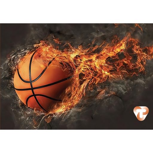 Diákigazolvány tok 4 tasakos T-Creativ vegyes minta