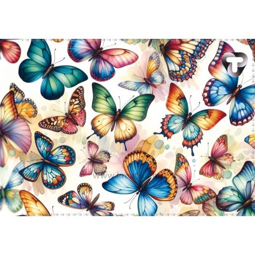 Diákigazolvány tok 4 tasakos T-Creativ vegyes minta