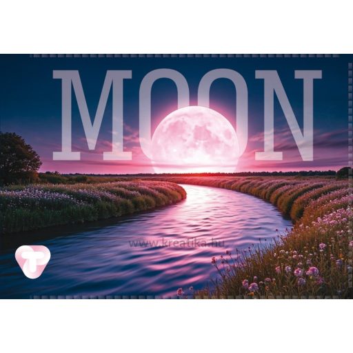 Diákigazolvány tok 4 tasakos T-Creativ vegyes minta