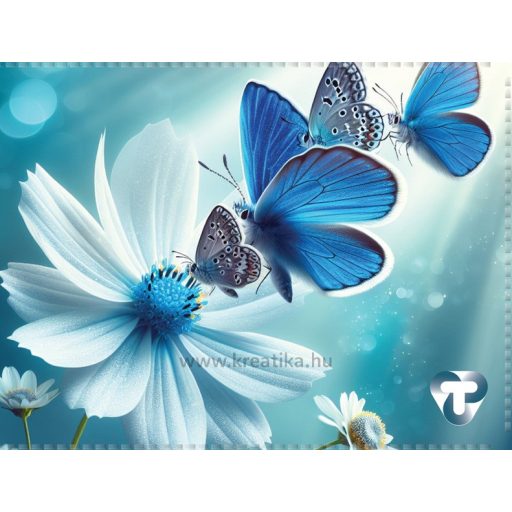 Igazolványtartó 10 tasakos T-Creativ vegyes minta