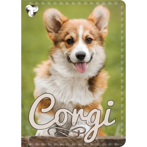 Igazolványtartó 8 tasakos T-Creativ vegyes minta