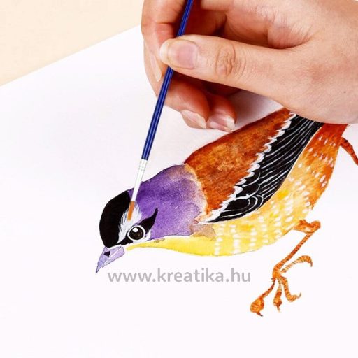 Ecsetkészlet 12 db (1-12) állatszőr Ecada