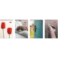 Spirálnotesz A/5 80 lapos, vonalas Daco