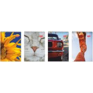 Spirálnotesz A/6 80 lapos, négyzetrácsos Daco