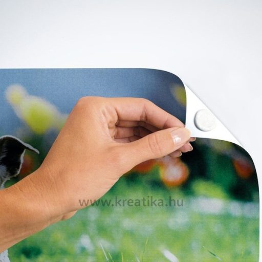 Gyurmaragasztó 54 kocka Herma