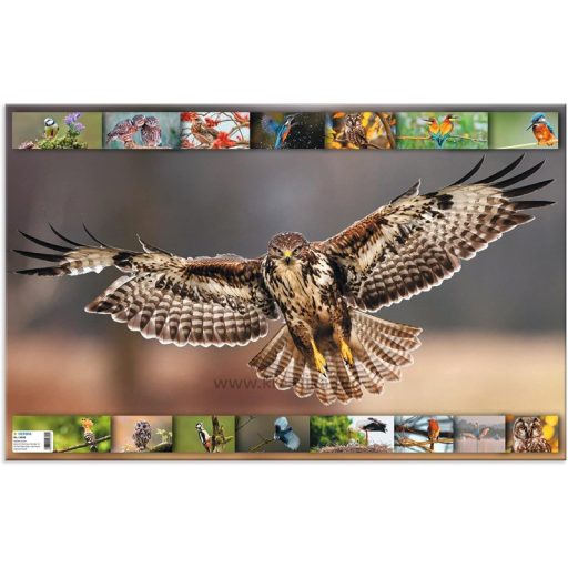 Asztali könyöklő 33x55 cm Herma "Animal Worlds" Madarak