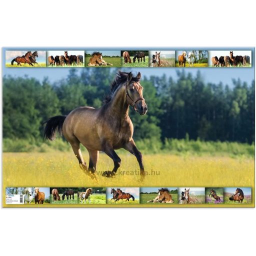 Asztali könyöklő 33x55 cm Herma "Animal Worlds" Lovak