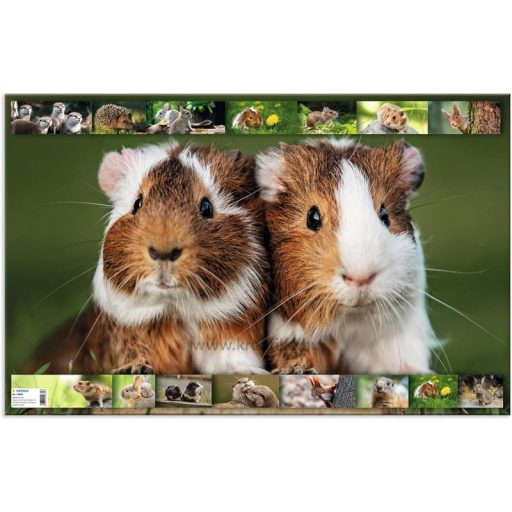 Asztali könyöklő 33x55 cm Herma "Animal Worlds" Rágcsálók