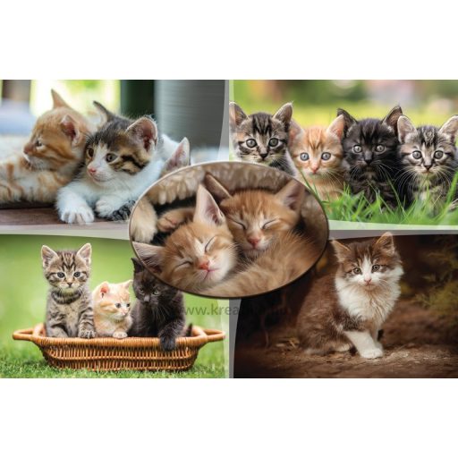 Asztali könyöklő 54,5x34 cm T-Creativ "Cats