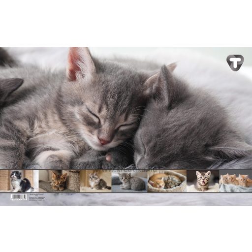 Asztali könyöklő 54,5x34 cm T-Creativ "Cats