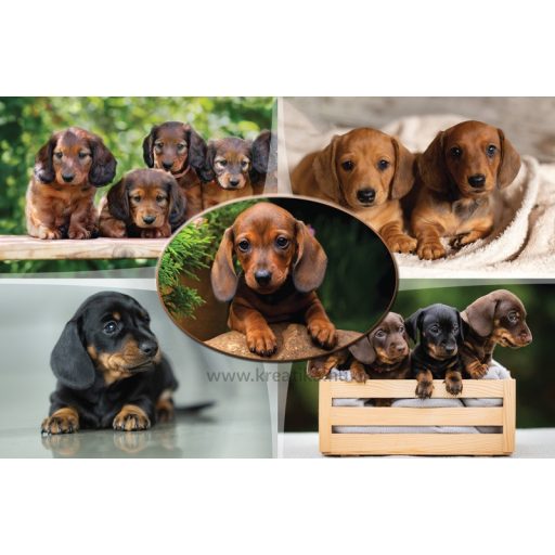 Asztali könyöklő 54,5x34 cm T-Creativ "Dogs