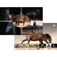 Asztali könyöklő 54,5x34 cm T-Creativ "Horses