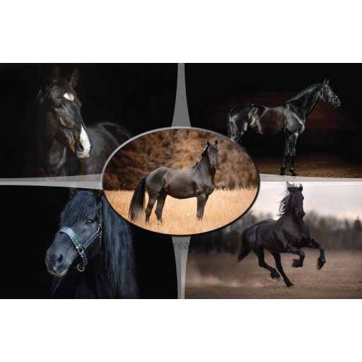 Asztali könyöklő 54,5x34 cm T-Creativ "Horses