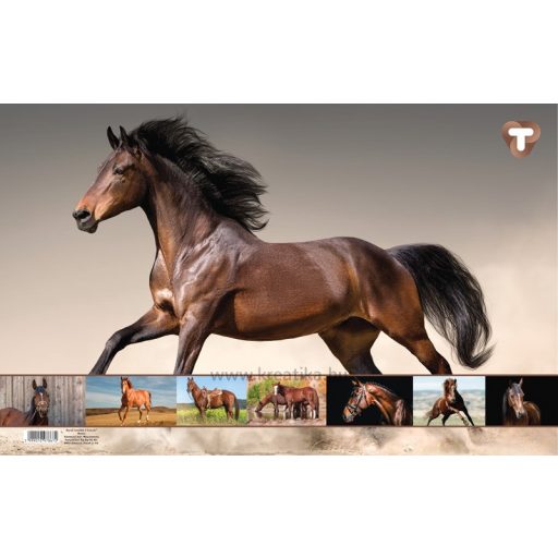 Asztali könyöklő 54,5x34 cm T-Creativ "Horses