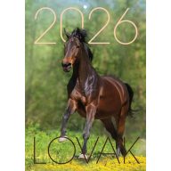Falinaptár A/4 tűzött T-Calendar "Lovak