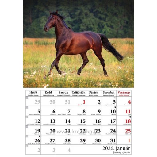 Falinaptár A/4 tűzött T-Calendar "Lovak