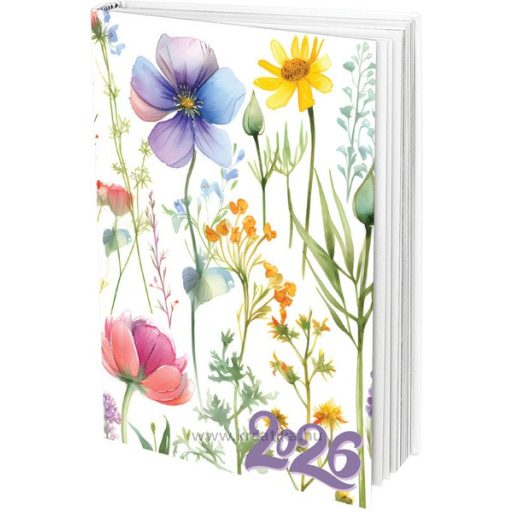 Zsebnaptár 2 napos, B/7 T-Calendar vegyes minta