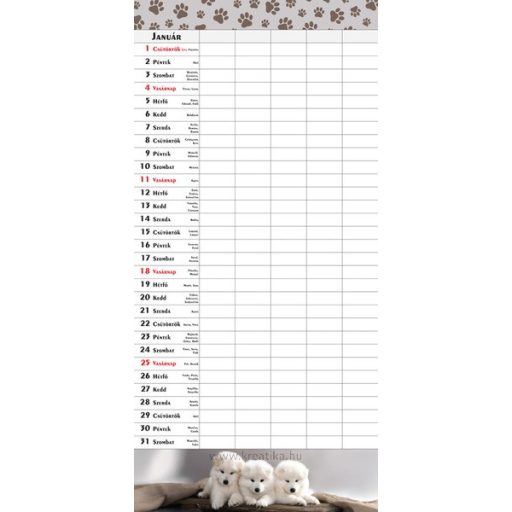 Családi tervező, tűzött T-Calendar "Kutya-Cica