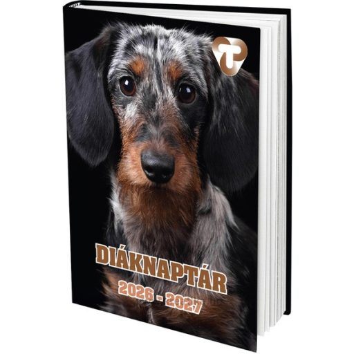 Diáknaptár A/7 64 lapos T-Creativ vegyes minta