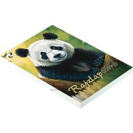 Rajzlaptömb A/4 famentes, 120 g, 40 ív/tömb T-Creativ